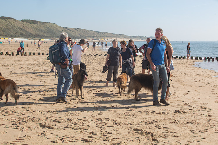 Wandeling Zoutelanden